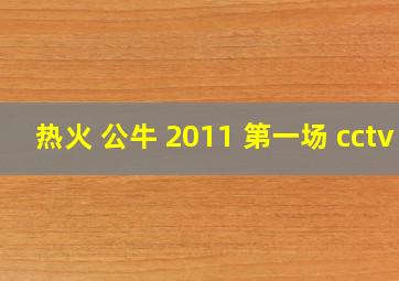 热火 公牛 2011 第一场 cctv